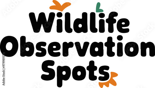 Colorful Vector Design for Wildlife Observation Spots