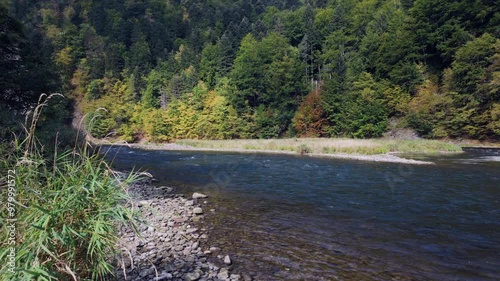 Dunajec mountain river in Pieniny national park in Poland, rushing mountain river surrounded by trees in autumn colors

 photo