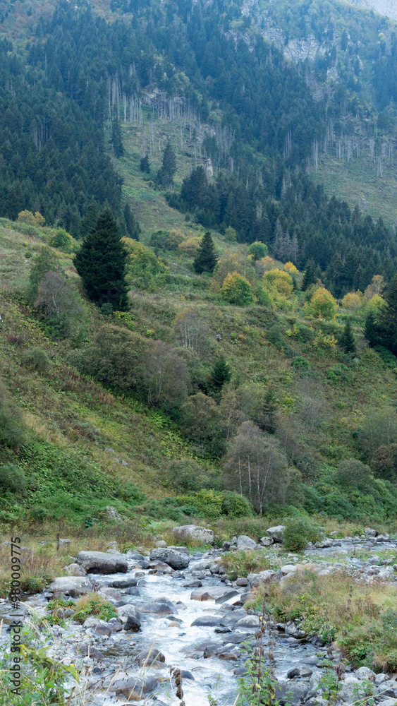 Obraz premium nomad livestock at top of the mountain