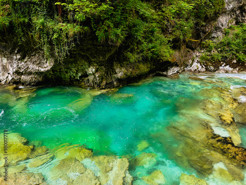 A calm clear turquoise river meandering at the bottom of the canyon among rocks and greenery