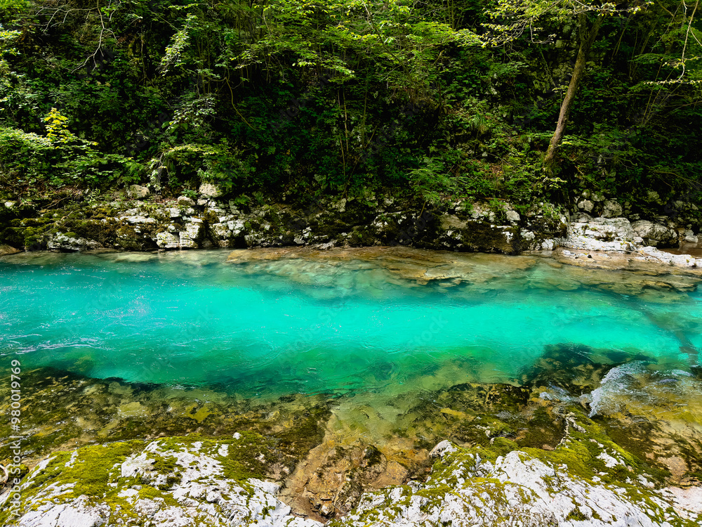 A calm clear turquoise river meandering at the bottom of the canyon among rocks and greenery A calm clear turquoise river meandering at the bottom of the canyon among rocks and greenery