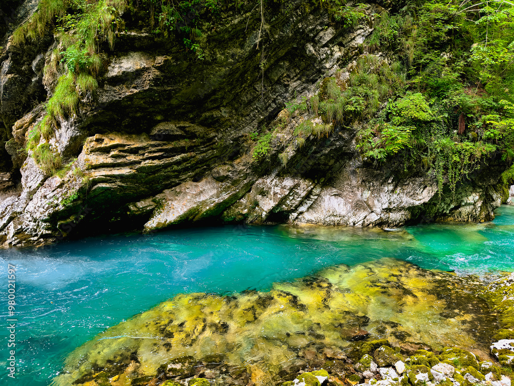 canyon bottom with a calm crystal clear turquoise river and picturesque forest. Slovenia