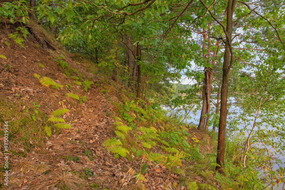 Educational and recreational path around the reservoir in Wilcza Wola, Poland, Europe Educational and recreational path around the reservoir in Wilcza Wola, Poland, Europe