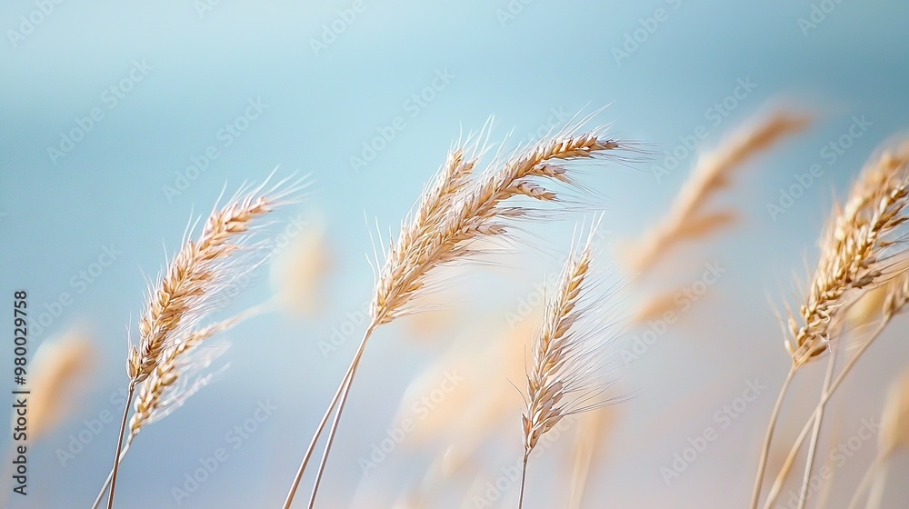 Close-up of lush green grass blades, set against a serene blue sky backdrop Close-up of lush green grass blades, set against a serene blue sky backdrop