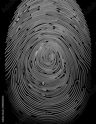 illustrated fingerprint drawing with black lines