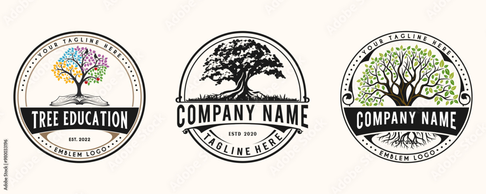 Fototapeta premium set Oak Tree Leaf Root Family Tree Oak Banyan Maple Stamp Emblem Label vintage style logo design vector