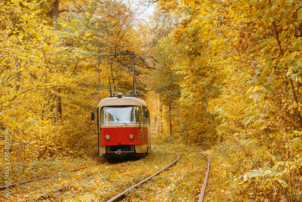 Old red tram moving through yellow autumn deciduous forest, fall landscape, ecological transport Old red tram moving through yellow autumn deciduous forest, fall landscape, ecological transport