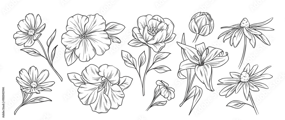 Set of blooming flowers sketches. Hand drawn wild flowers, organic plants with petals and leaves in line art style. Botanical engraving. Outline vector illustration collection isolated on background Set of blooming flowers sketches. Hand drawn wild flowers, organic plants with petals and leaves in line art style. Botanical engraving. Outline vector illustration collection isolated on background
