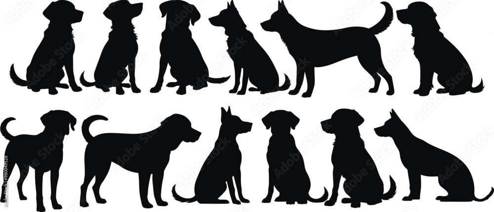 Vector clip art showcasing dogs in different poses, both sitting and ...