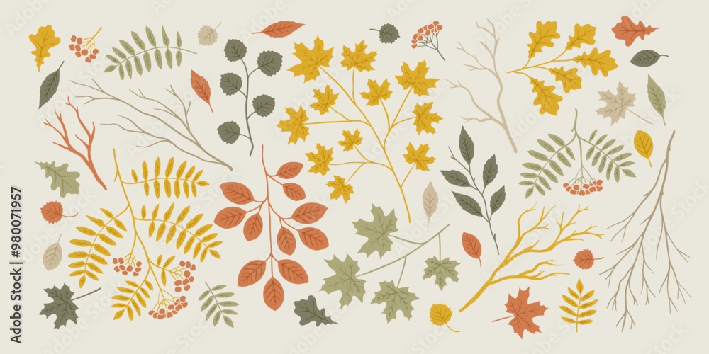 Autumn nature elements. Graphic background with fall leaves and branches. Hand drawn illustration of maple, oak and rowan. Autumn nature elements. Graphic background with fall leaves and branches. Hand drawn illustration of maple, oak and rowan.