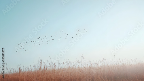 Small group of birds flying in the distance. 