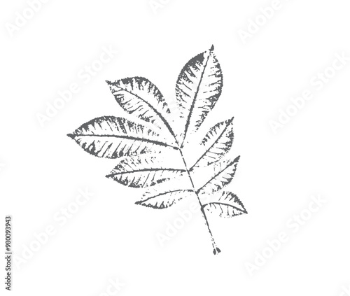 Black and white stamp impression of a leaf or plant with organic texture. Isolated leaf print for floral art or pattern.