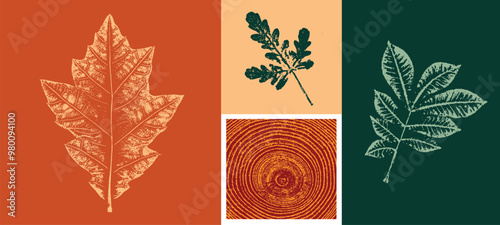 Decorative leaf prints and wood block prints of oak leaf. Orange, red, green autumn colors of botanical impression print.
