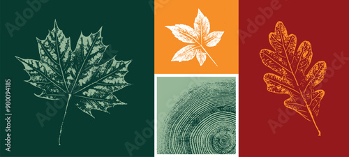Decorative maple leaf sketch and wood block prints. Monotone orange red green botanical tree rings and leaves impression print.