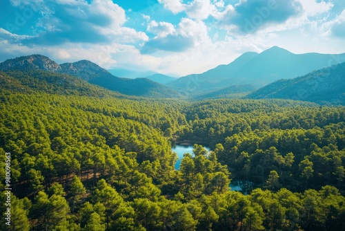 Aerial View of Green Summer Forest with Pine Trees in Turkey, ai