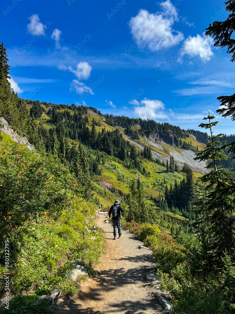 Fototapeta premium Man hiking down Mount Rainier mountain trail