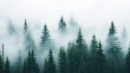 Misty Forest Serenity, an ethereal landscape where dense trees emerge from a soft veil of mist, enveloped in tranquil silence, inviting contemplation and peace.