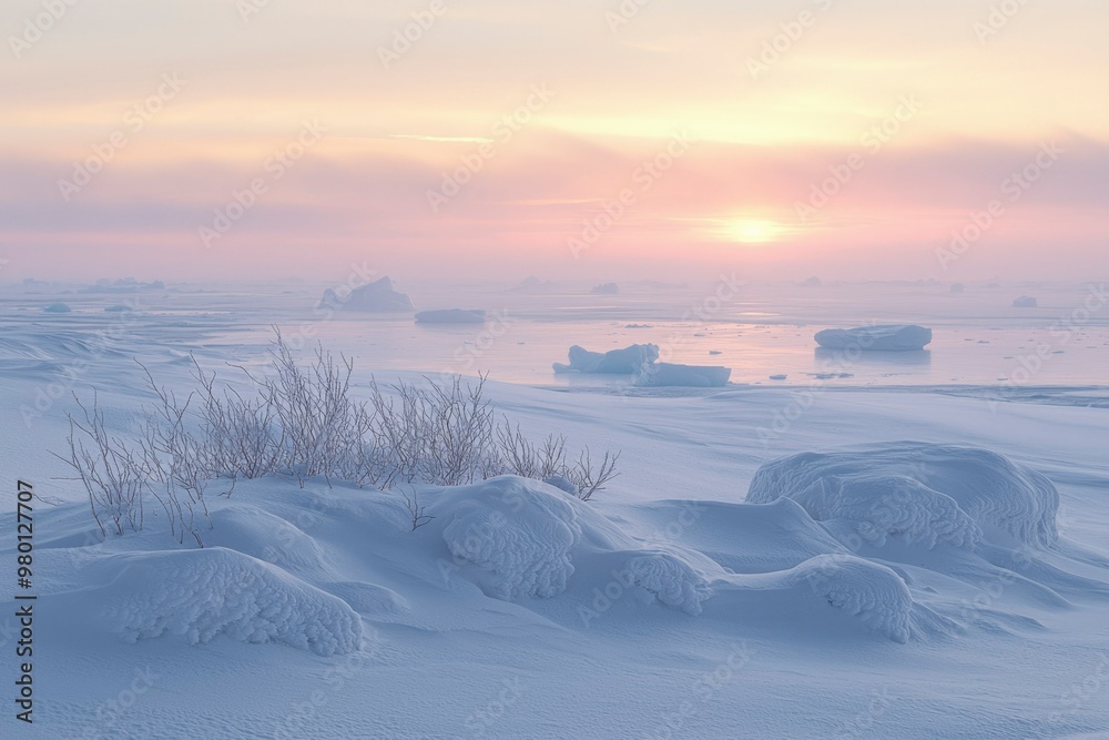 Arctic Sunset with Icebergs and Snowdrifts Arctic Sunset with Icebergs and Snowdrifts