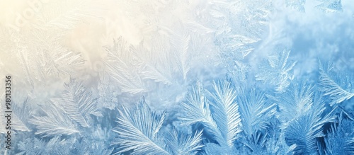 Frosted Ice Patterns On Glass Surface Nature Winter Background