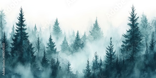 Misty Spruce Forest with Tall Trees Disappearing into Fog