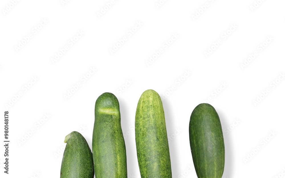 vegetable cucumber group on white background.