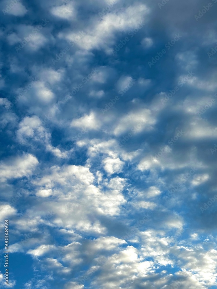 Obraz premium Summer Sky