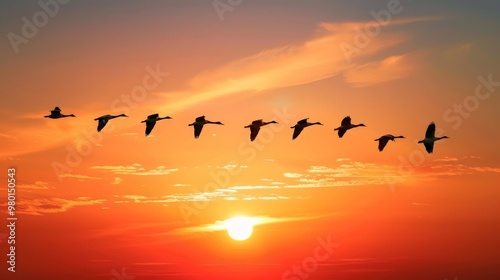 Wallpaper Mural Birds flying in formation against a sunset sky Torontodigital.ca