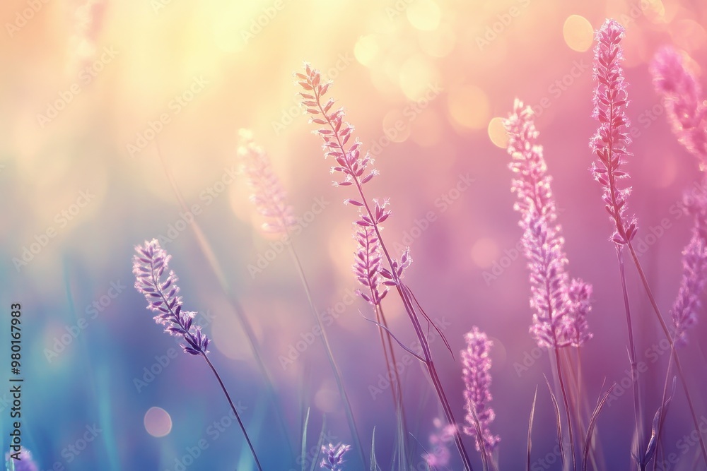 Naklejka premium Delicate Pink Flowers and Grass in a Softly Lit Meadow