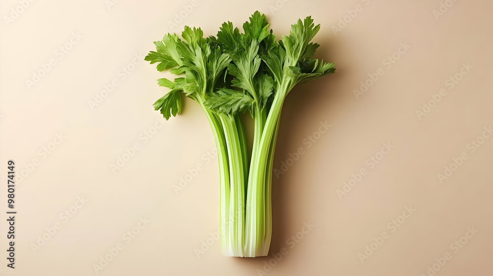 Fresh celery on a neutral background, showcasing its vibrant green color and crisp texture, perfect for healthy recipes. Fresh celery on a neutral background, showcasing its vibrant green color and crisp texture, perfect for healthy recipes.