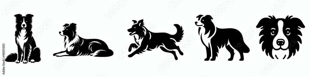 Set of border collie vector silhouette illustration collection set, dog breed clip art design element bundle Set of border collie vector silhouette illustration collection set, dog breed clip art design element bundle