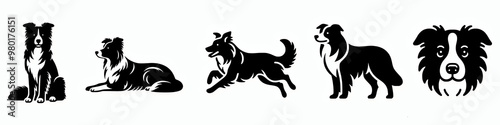 Wallpaper Mural Set of border collie vector silhouette illustration collection set, dog breed clip art design element bundle  Torontodigital.ca