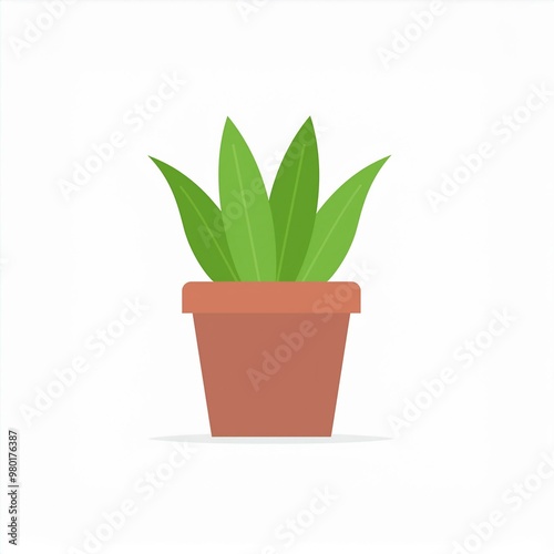 plant in a pot illustration houseplant isolated