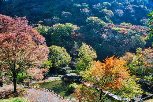 飛騨の山地では秋になると紅葉で渓谷が最も美しくなります