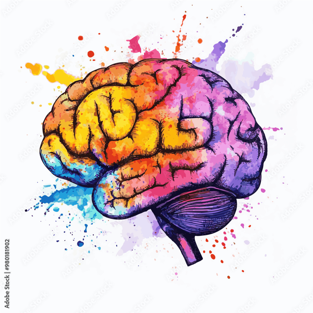 Vibrant ink illustration of a human brain with splashes of color ...