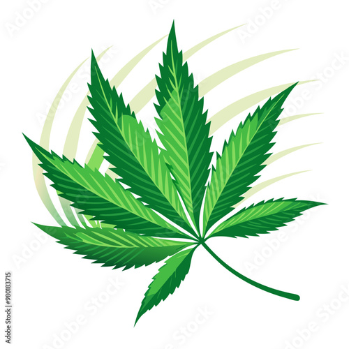Cannabis Marijuana Leaf on White Background 