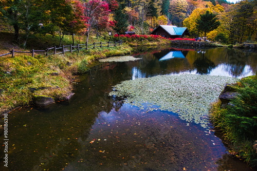 飛騨の山地では秋になると紅葉で渓谷が最も美しくなります