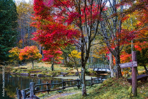 飛騨の山地では秋になると紅葉で渓谷が最も美しくなります