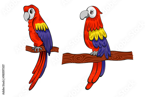 Red Macaws
