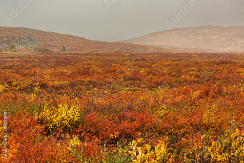 Landscapes of the Barrens