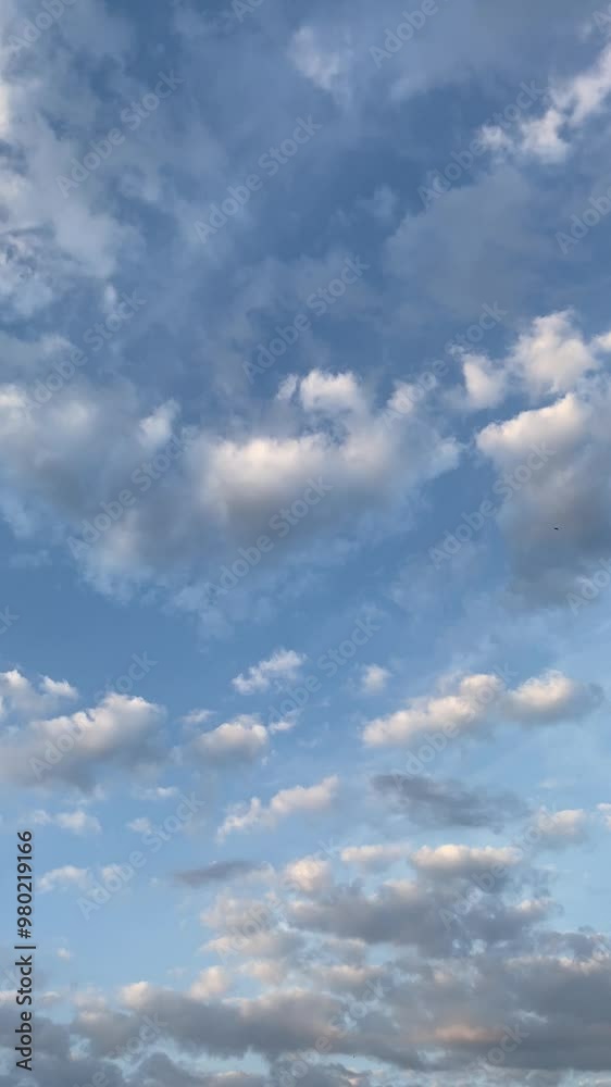blue sky with slightly overcast clouds and birds flying blue sky with slightly overcast clouds and birds flying
