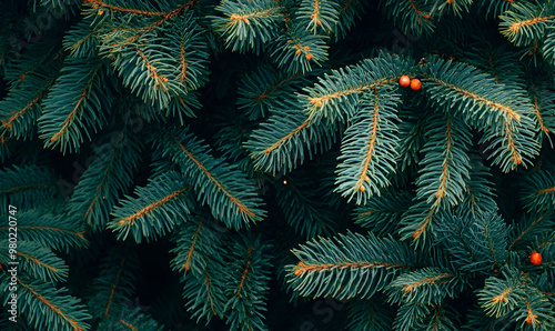 Close-up view of a Christmas tree background