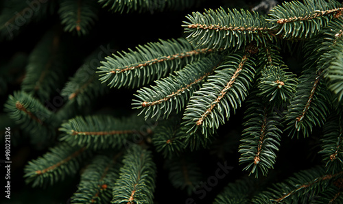 Close-up view of a Christmas tree background