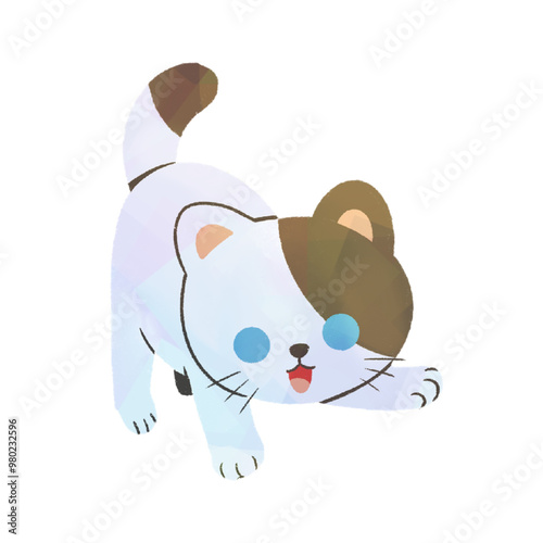 cat