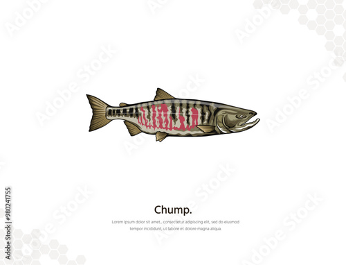 Chump Salmon vector art for wall decoration