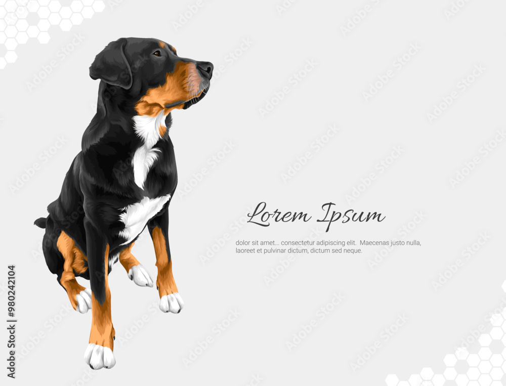 Vector Dog Breed Rottweiler 2 wall decor ideas Vector Dog Breed Rottweiler 2 wall decor ideas