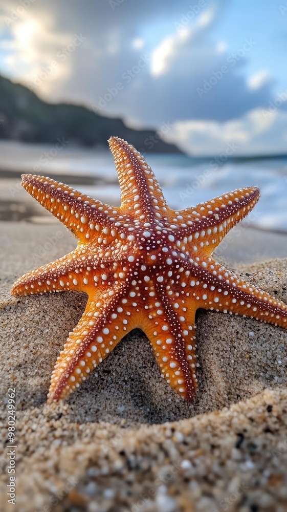 Starfish on a beach, partially buried in the sand with its vibrant colors contrasting against the shoreline. Starfish on a beach, partially buried in the sand with its vibrant colors contrasting against the shoreline.