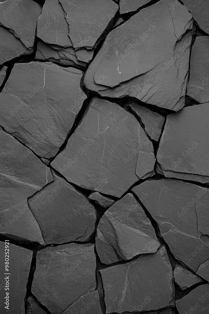 Close-up view of a textured black slate rock surface, showcasing natural patterns and layers, ideal for backgrounds and designs. Close-up view of a textured black slate rock surface, showcasing natural patterns and layers, ideal for backgrounds and designs.