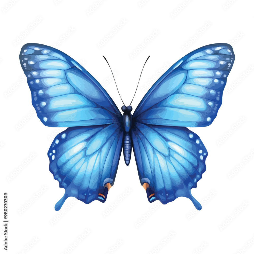 Obraz premium Blue butterfly vector clip art vector