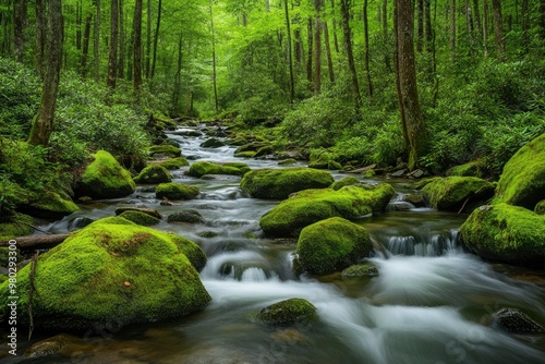 Smoky Mountain stream with mossy rocks with generative ai