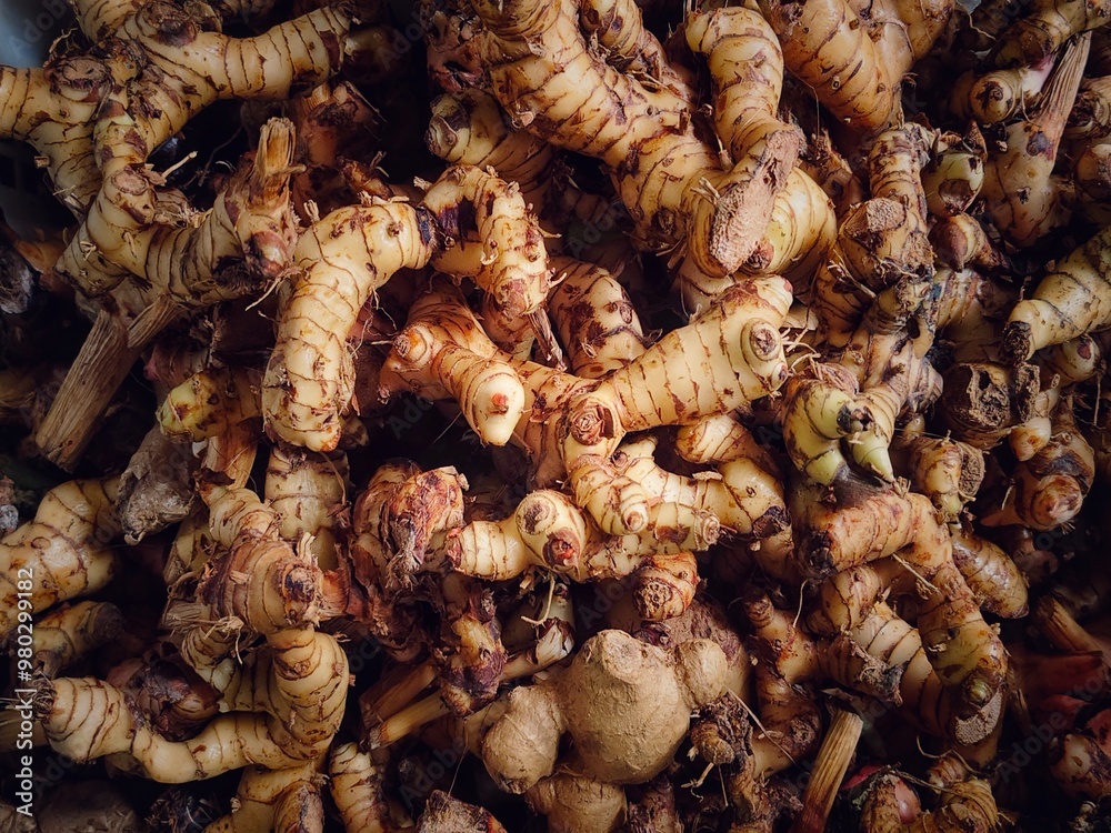 A close-up of freshly harvested galangal roots displayed in bulk. The earthy textures and vibrant tones of the rhizomes highlight their freshness, ideal for culinary and medicinal use